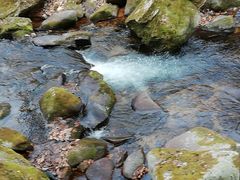 -丹东天桥沟景区