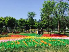 -武清南湖绿博园