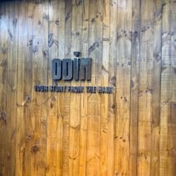 -ODIN 奥丁形象设计 
