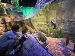 -沈阳海洋探索中心