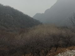 -阳台山自然风景区