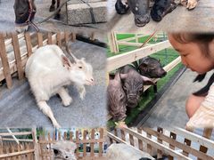 -南宁国际会展中心