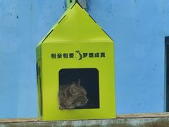 -青藏高原野生动物园
