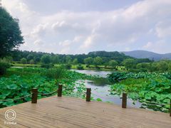 -T80科技文化国际社区-停车场