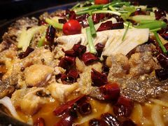 -老板恋上鱼(恒隆广场店)