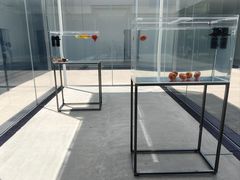 -金泽21世纪美术馆