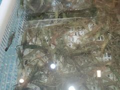 -佤家大院(南门店)