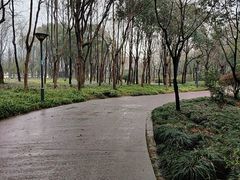 -长广溪湿地公园
