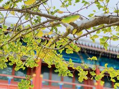 -北京石刻艺术博物馆