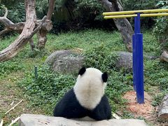 -广州长隆野生动物世界