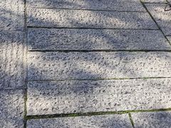 -三林塘老街