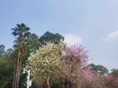 -南国桃园旅游度假区