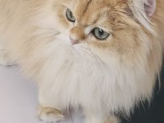 -天虹购物中心(深圳龙华店)