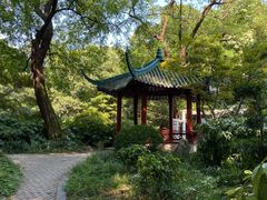 -中山公园