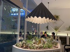 -春树下·树屋花房西餐厅(罍街AS1980店)