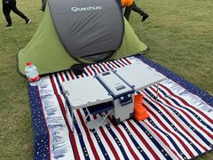 -春花秋色城市公园