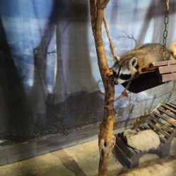 -酷嗒动物文化乐园(cutezoo西溪乐天城店)