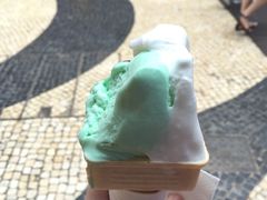 -柠檬车露(卖草地店)