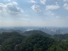 -大金鹰园