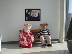 -济州岛泰迪熊博物馆