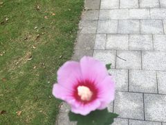 -白塘生态植物园