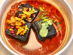 长沙臭豆腐-望湘园·湖南菜(宏伊店)
