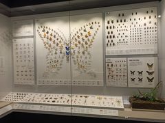 -四川大学博物馆