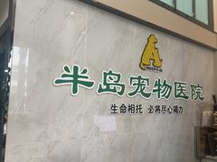 -半岛宠物医院24小时(科华中路店)