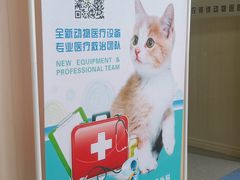 -喜多萌中农锦绣动物医院24H·猫科·牙科MRI·CT