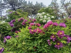 -国家植物园南园