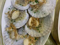 扇贝-老字号蛇口德记烧腊饭店·海鲜加工