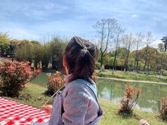 -白塘生态植物园