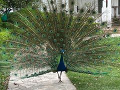 -金庭庄园酒店-停车场