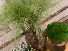 -明泰谷泰国餐厅(正大广场店)