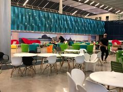 -西沃古尔·拉姆古兰爵士国际机场