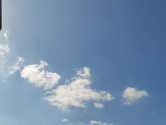 -济南孟家扒蹄店