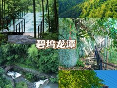 -莫干山风景区