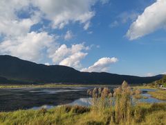 -腾冲北海湿地