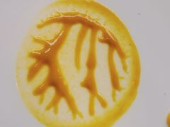 混合芥末酱-福楼法餐厅FLO