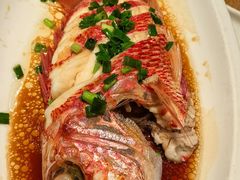 家烧龙头鱼-沁旺达·福建海鲜(马连道店)