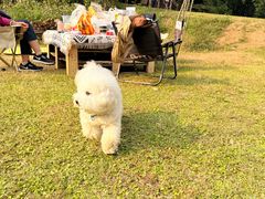 -三圣花乡旅游区