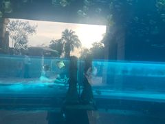 -亚特兰蒂斯水世界冒险乐园