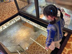 -卡通尼·Safari非洲探索乐园·生日会(金桥国际商业广场店)