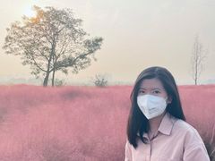 -汉长安城未央宫国家考古遗址公园