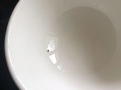 -Local泰莲庭(虹鳟鱼店)