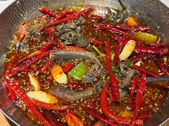 麻辣跳跳鱼-高佳庄·舟山海鲜(海景旗舰店)