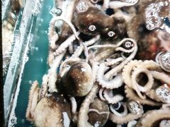 -徐记海鲜(梅溪新天地店)