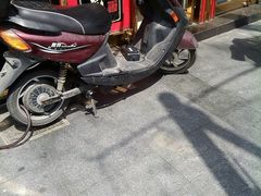 android_upload_pic-三阳盛(南京西路店)