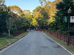 -广州市流溪河国家森林公园
