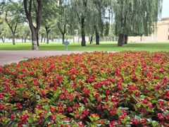 -哈尔滨文化公园